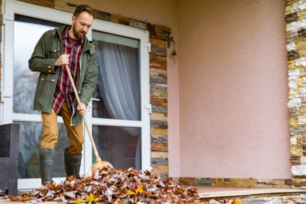 Debris Removal in Jamestown West, NY